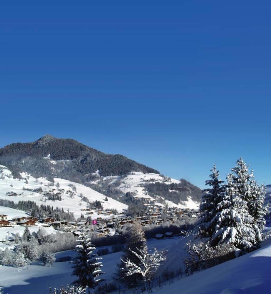 Belambra Clubs Praz-Sur-Arly - L'Alisier Hotel Buitenkant foto